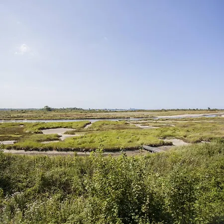 アパート Avec Parking A 2 Pas De La Plage, Merville-franceville - Fr-1-788-54 *